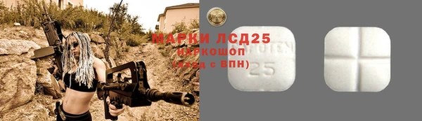 амф Беломорск