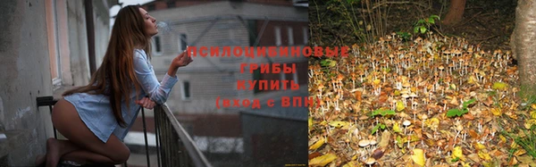 винт Балабаново